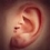 Nhled